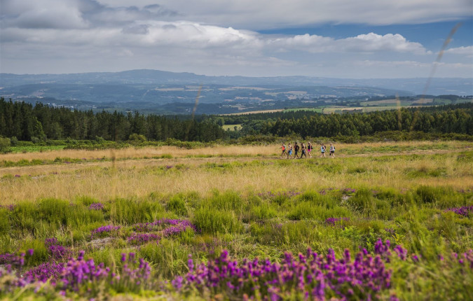 Walk the Camino de Santiago