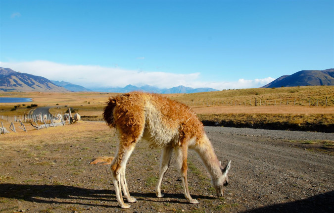 Discover Patagonia