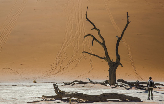 Journeys: Southern Africa Highlights