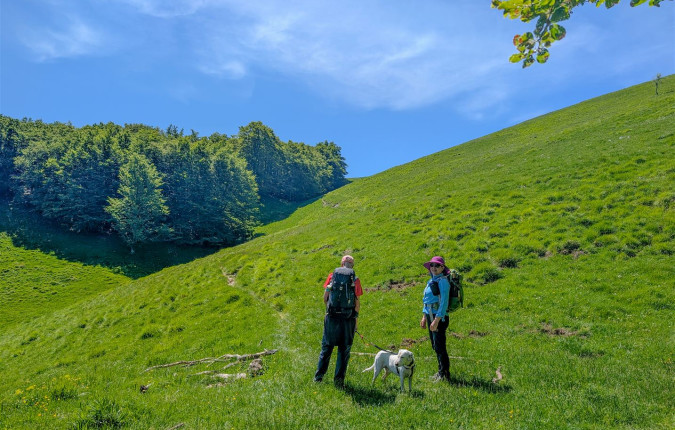 Walking in Tuscany