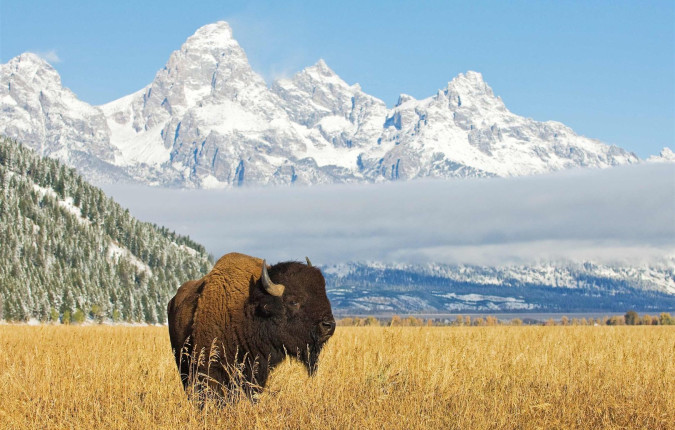National Park Wonders