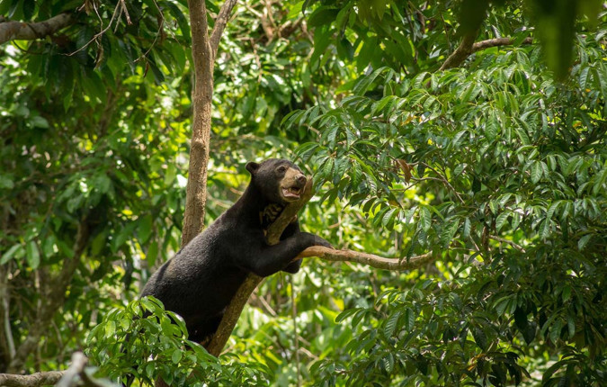 Malaysia's Ultimate Adventure