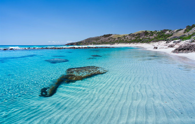 Kangaroo Island Adventure