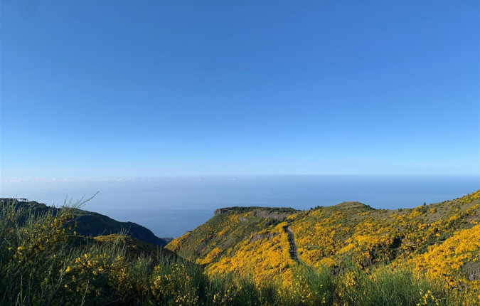 Walking the Island of Madeira