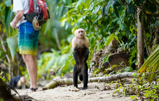 One Week In Costa Rica 
