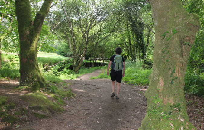 Portuguese Camino Highlights Walk