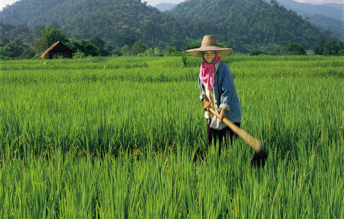 Southeast Asia Family Adventure