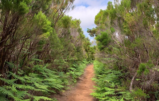Walking the Island of Madeira