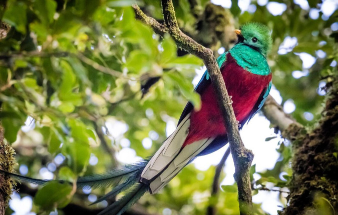 Best of Costa Rica 