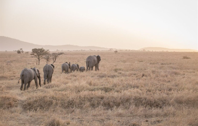 Safari to Kilimanjaro - Machame Route