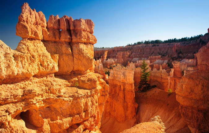Walking in America's Canyons & National Parks