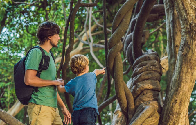 Borneo Family Holiday Comfort