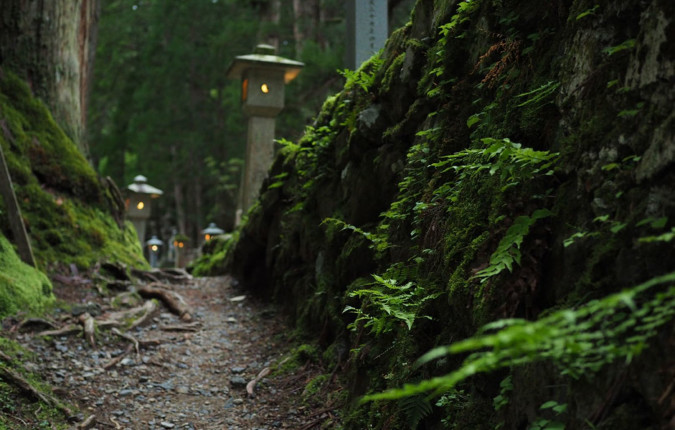 Japan: Koya-san & Kumano Kodo Trek