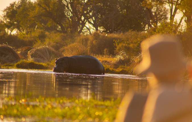 Botswana & Zimbabwe Lodge Safari