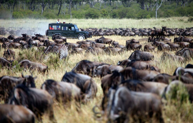 Essential East Africa