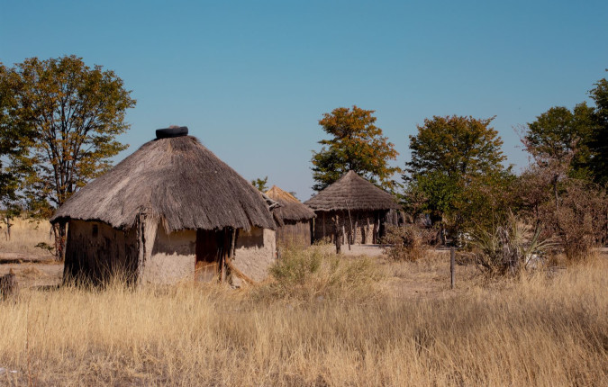 Wildlife & Wilderness of Botswana