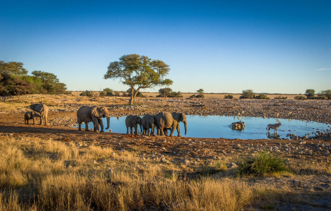 Cape Town to Victoria Falls - Hotel/Lodge