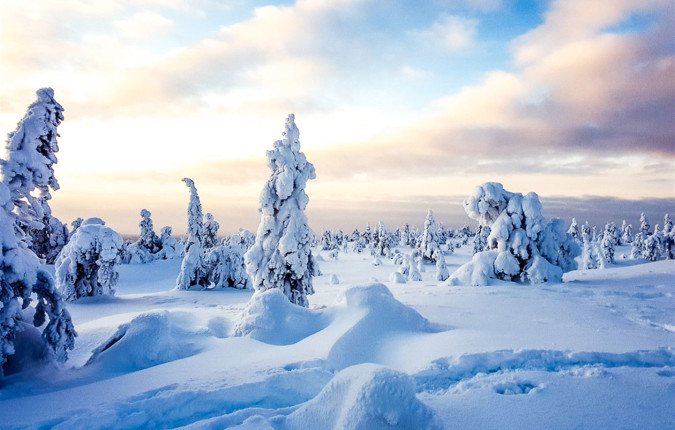 Finnish Wilderness Week