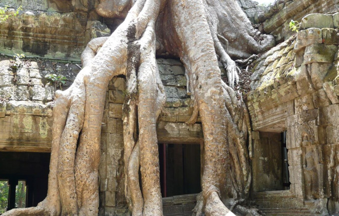 Cambodian Traveller