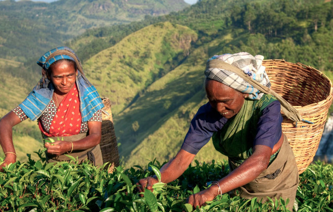 Sri Lanka Encompassed