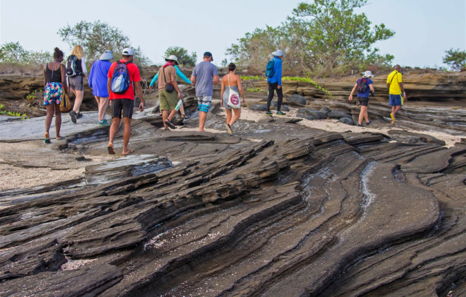 Ecuador Highlands & Galapagos 