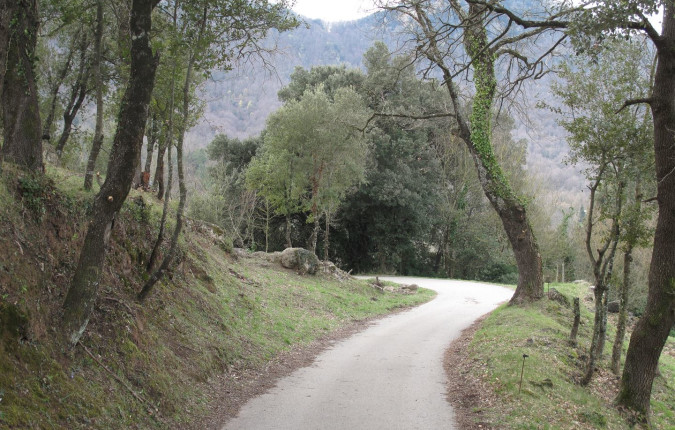 Cycling Girona and the Catalan Coast