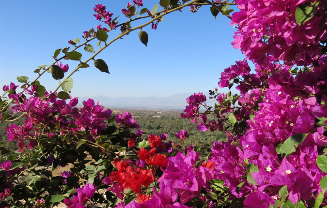 Hike Morocco's Anti-Atlas Mountains