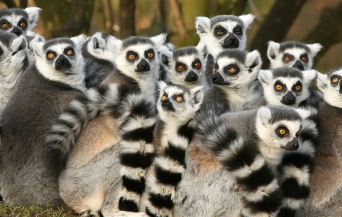 Madagascar Adventure