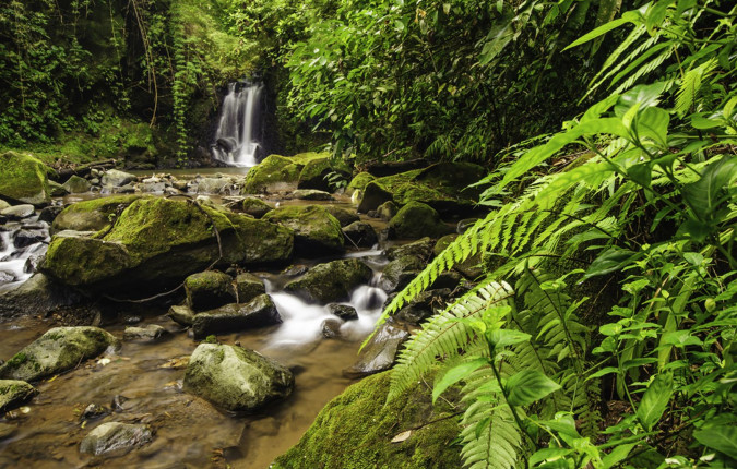 Best of Costa Rica 