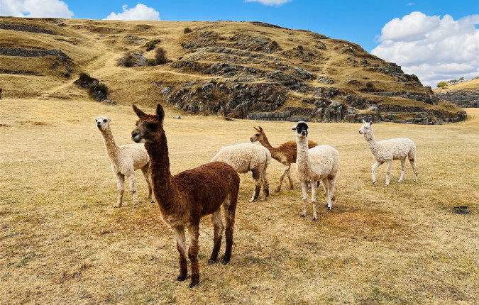 The Inca Trail