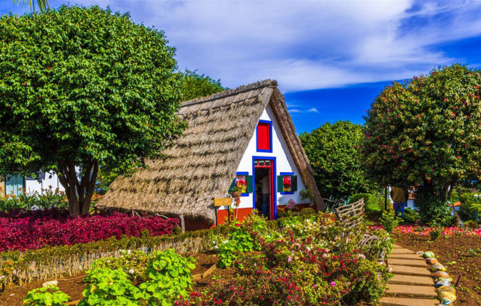 Madeira Island Discovery