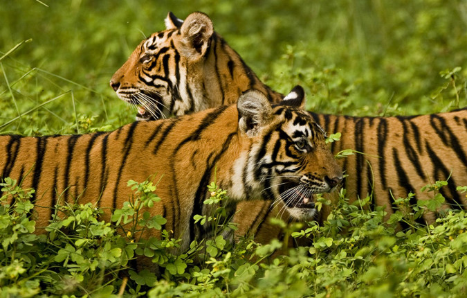 Southern India
