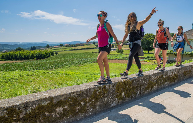 Walk the Camino de Santiago