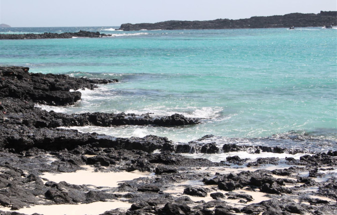 Galapagos Land & Sea — Central & South Islands aboard the Yolita