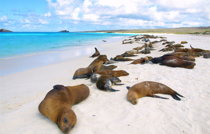 Galapagos Escape - Solaris (Itinerary B)