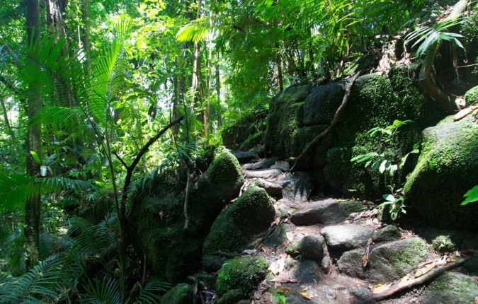 Journeys: Iconic Australia and New Zealand