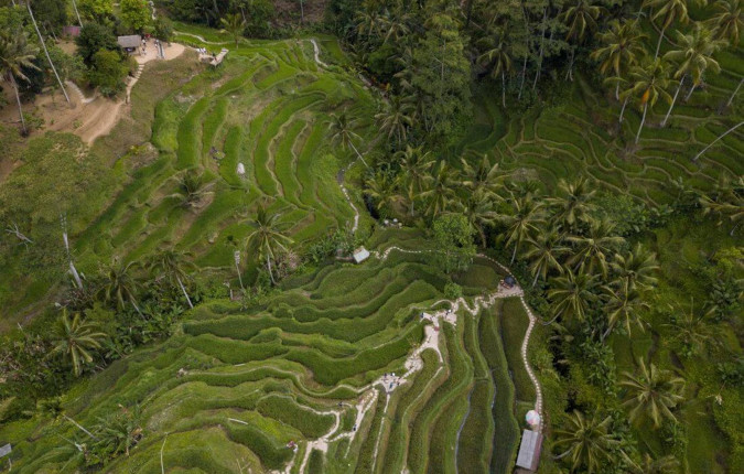 Essential Bali & Gili Islands