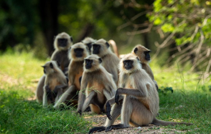 Highlights of Northern India - Summer itinerary