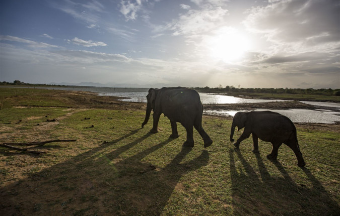 Sri Lanka & Maldives Adventure