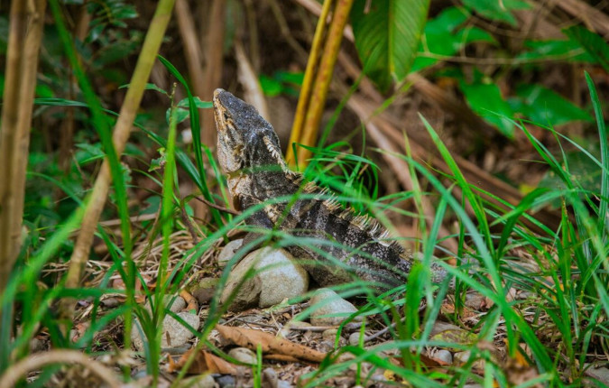 Best of Costa Rica 