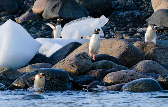 Journey to the Antarctic Circle 
