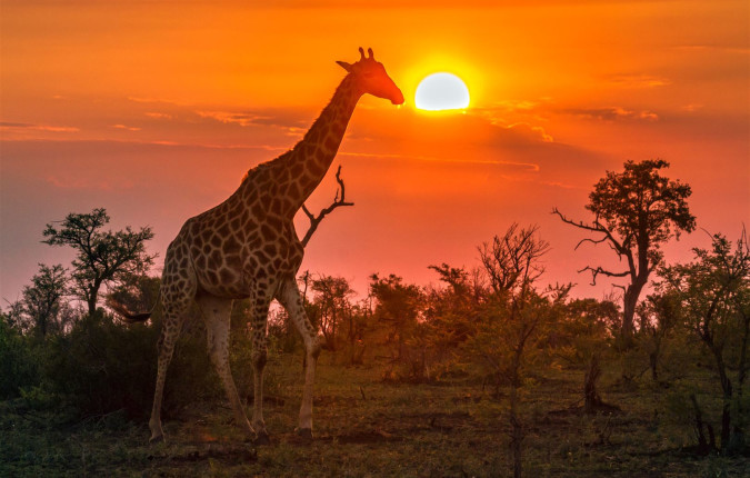 South Africa: Walking & Wildlife