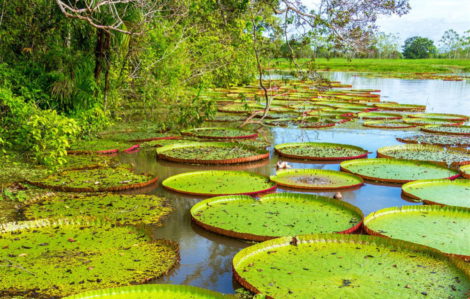 Explore Peru & Bolivia