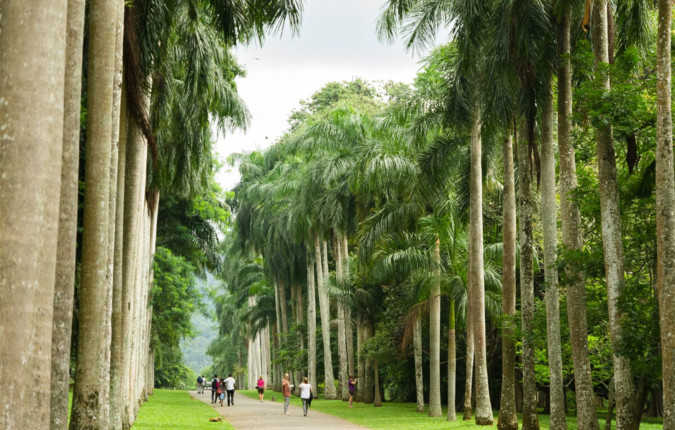 Discover Sri Lanka