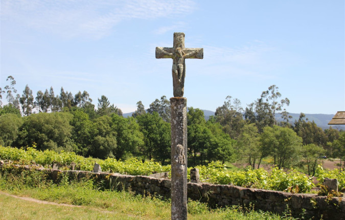 Portuguese Camino Highlights Walk