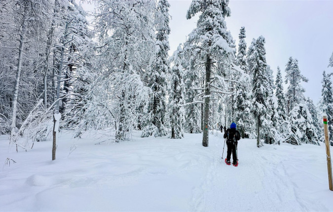 Finland Family Winter Adventure