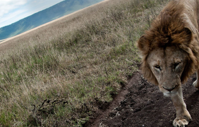 Tanzania to Zanzibar: White Sands & the Wilderness