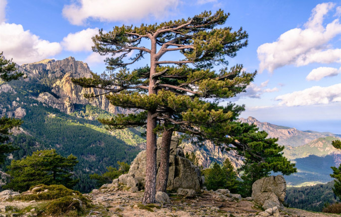 Trek the GR20 of Corsica
