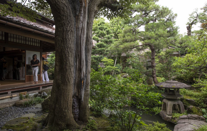 Journeys: Iconic Japan