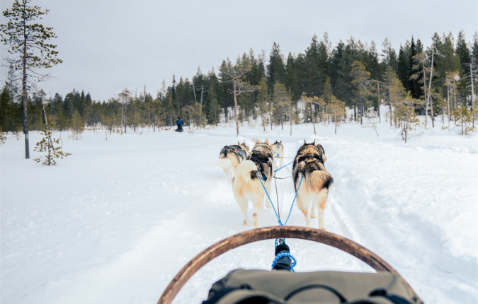 Finnish Wilderness Week